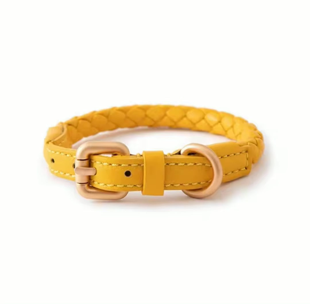 Premium Halsband aus Nappaleder - Das Hundekaufhaus